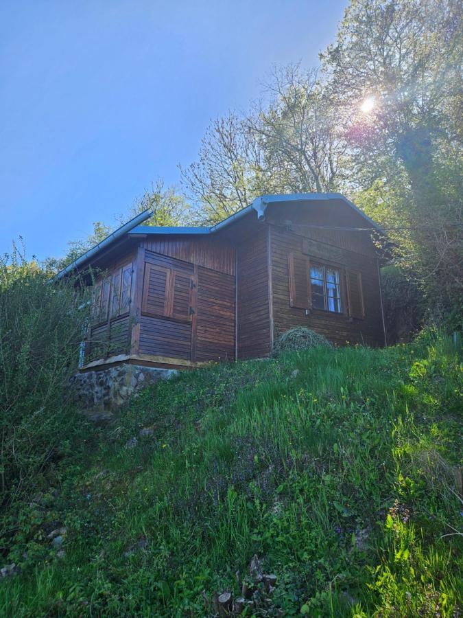 Elbblick Villa Storkau Екстериор снимка